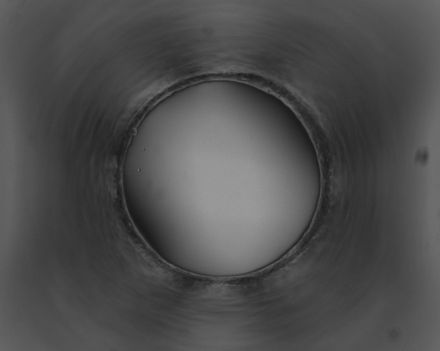 X0000091531265200708311303