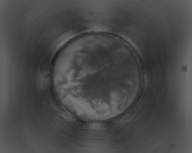 X0000091531266200708311303
