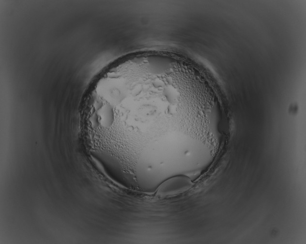 X0000091531267200708311303
