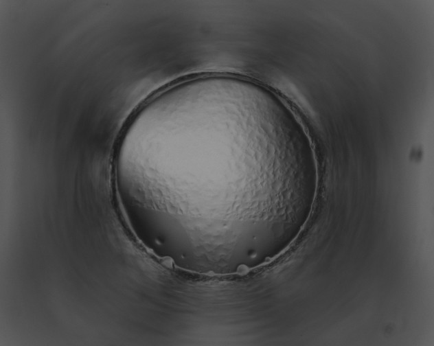 X0000091531268200708311303