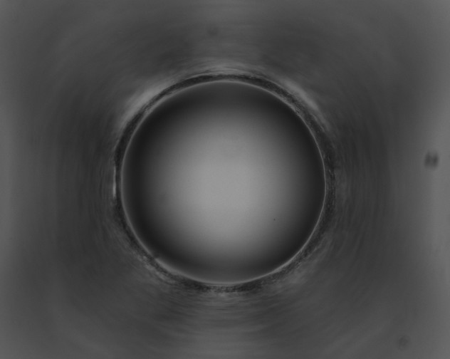 X0000091531269200708311303