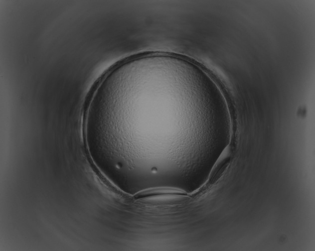 X0000091531272200708311303