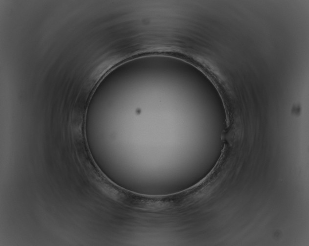 X0000091531273200708311303