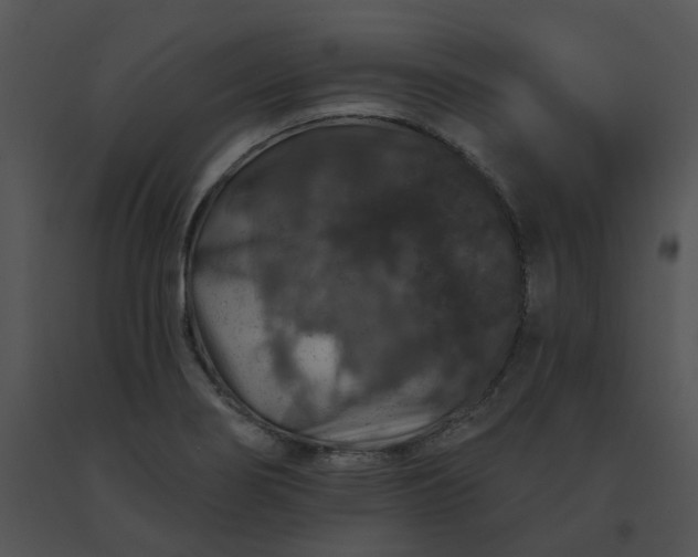 X0000091531274200708311303