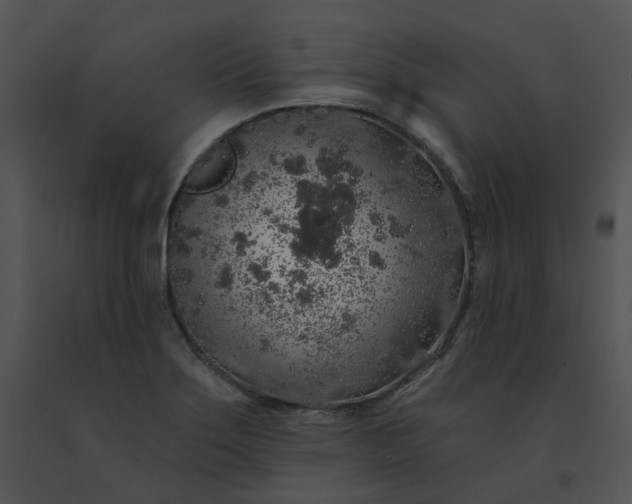 X0000091531275200708311303