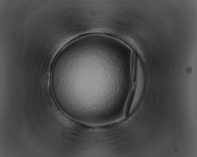 X0000091531276200708311303
