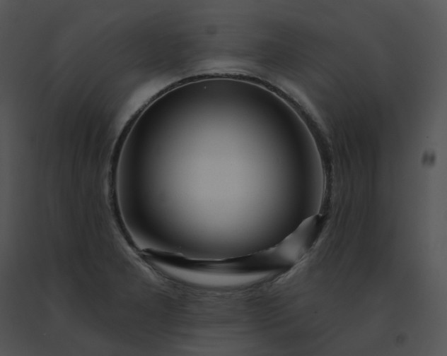X0000091531277200708311303