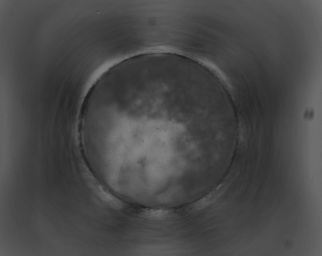 X0000091531278200708311303
