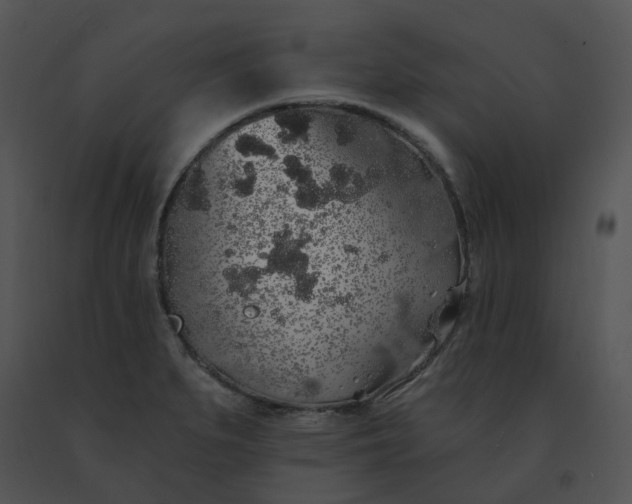 X0000091531279200708311303
