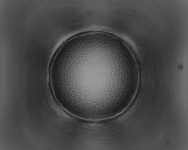 X0000091531280200708311303