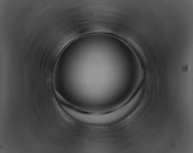 X0000091531281200708311303