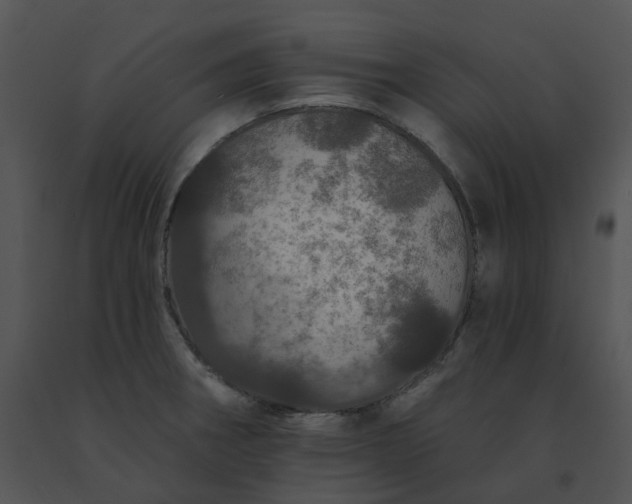 X0000091531282200708311303