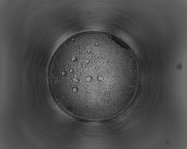 X0000091531283200708311303