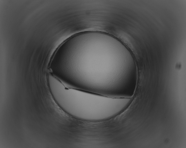 X0000091531284200708311303