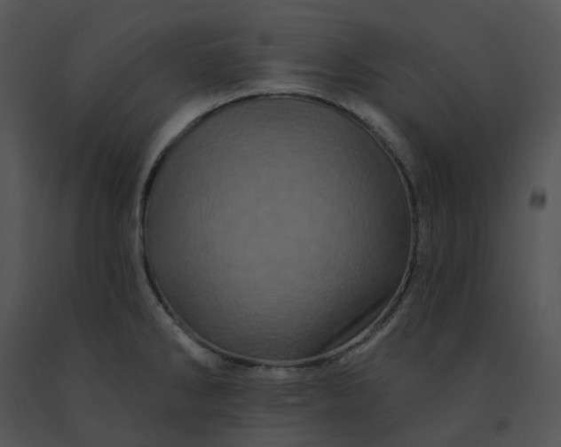 X0000091531286200708311303