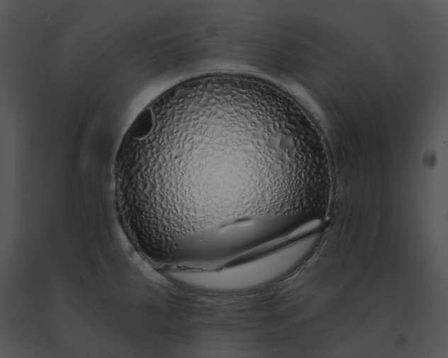 X0000091531287200708311303
