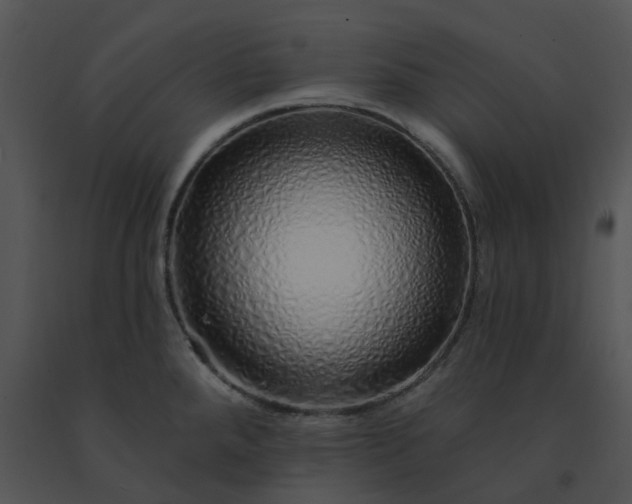 X0000091531288200708311303