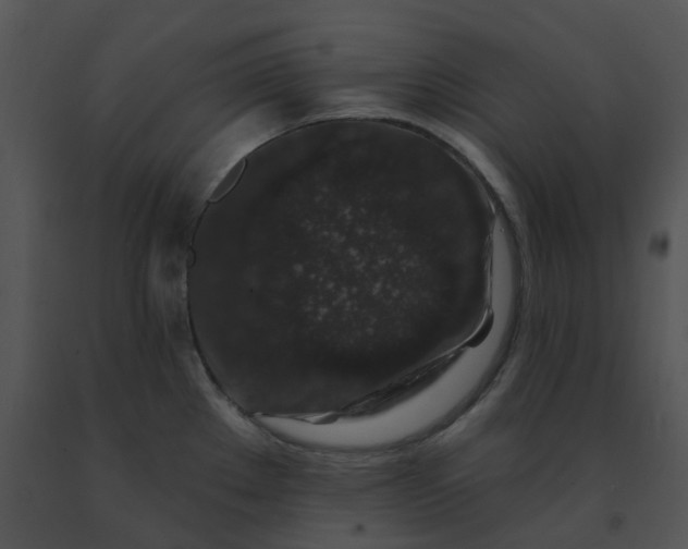 X0000091531289200708311303