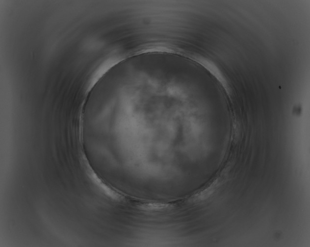 X0000091531290200708311303
