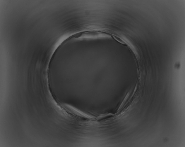X0000091531291200708311303