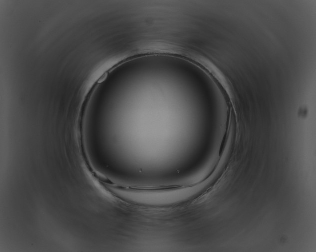 X0000091531293200708311303