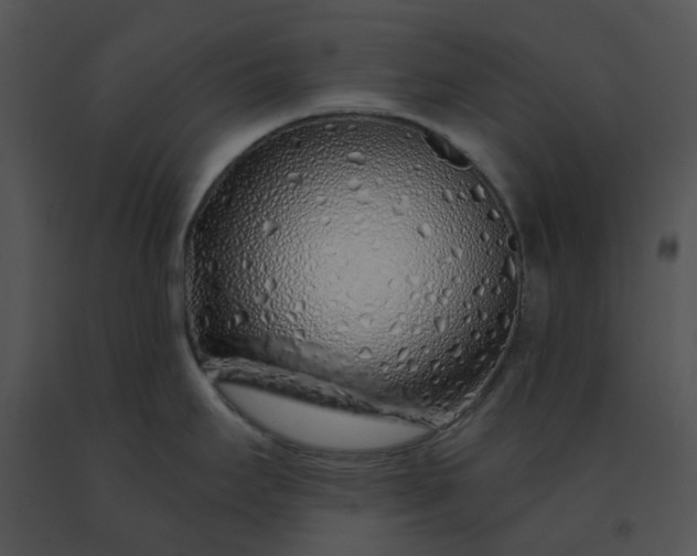 X0000091531295200708311303