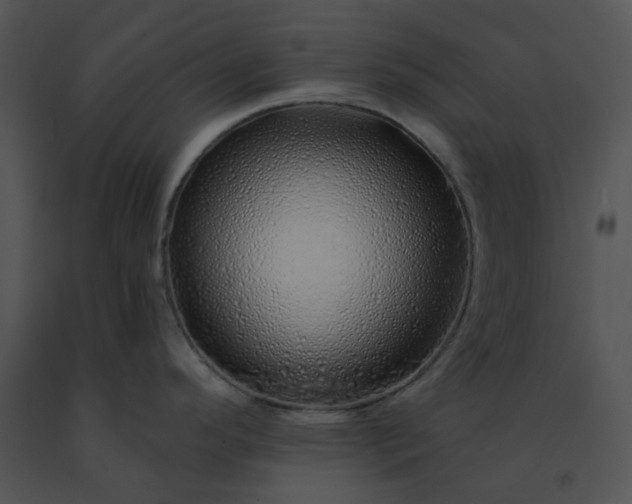 X0000091531296200708311303