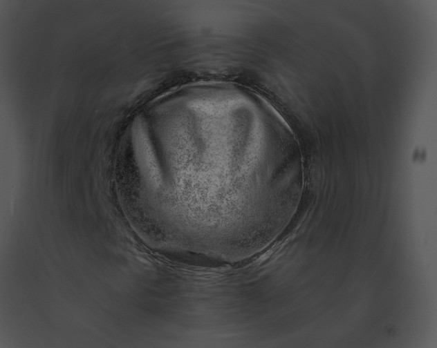 X0000091531297200708311302