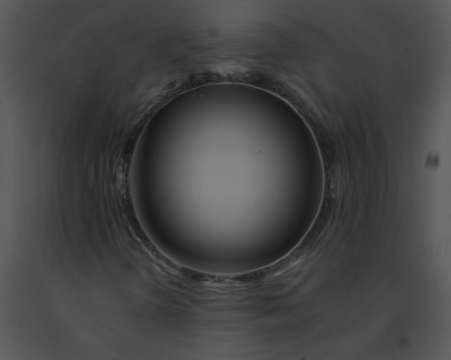 X0000091531298200708311302