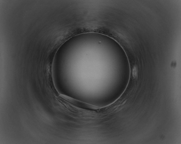 X0000091531299200708311302
