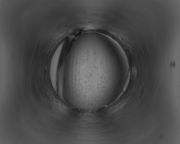 X0000091531300200708311302