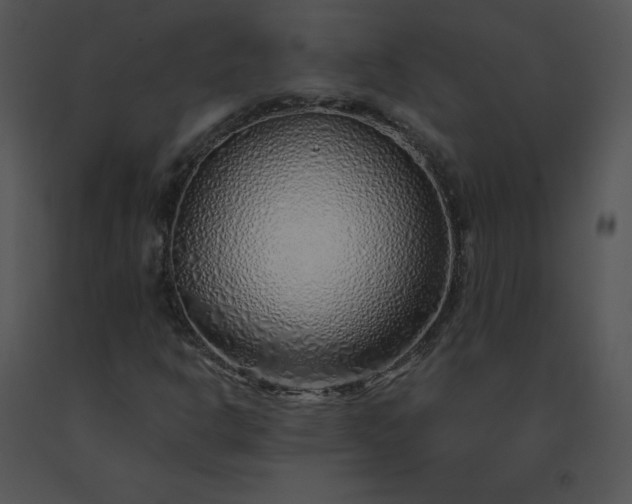 X0000091531302200708311302