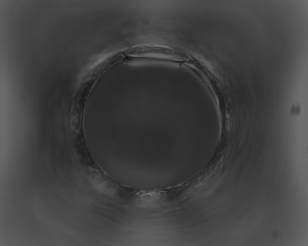 X0000091531303200708311302