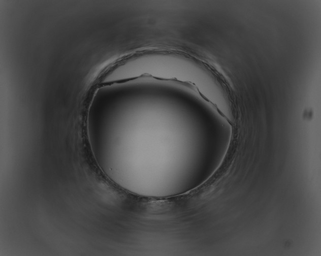 X0000091531304200708311302