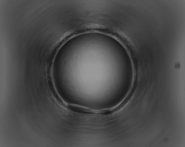 X0000091531305200708311302