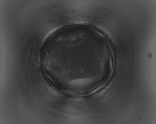 X0000091531306200708311302