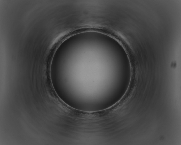 X0000091531307200708311302