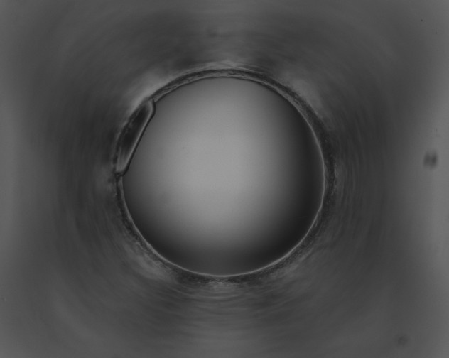 X0000091531308200708311302