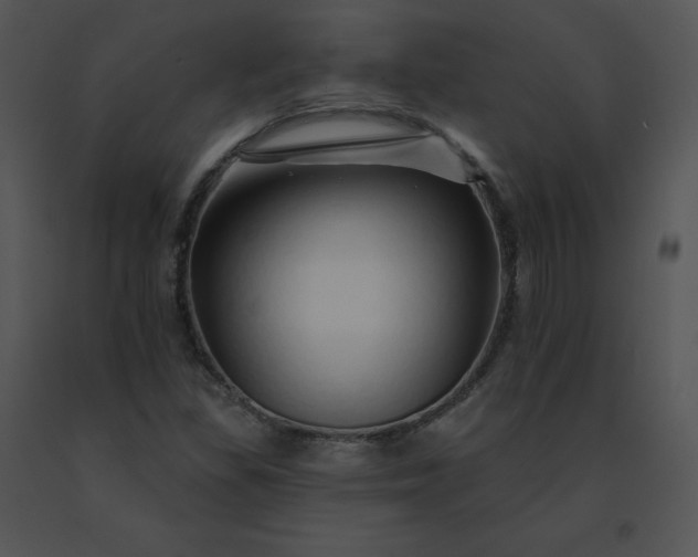 X0000091531309200708311302