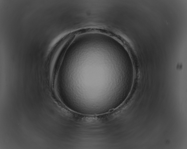 X0000091531310200708311302