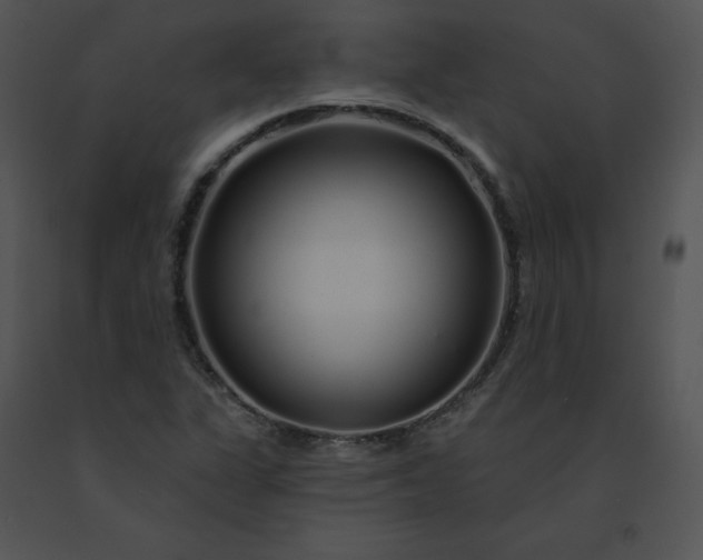 X0000091531311200708311302