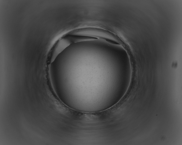 X0000091531312200708311302