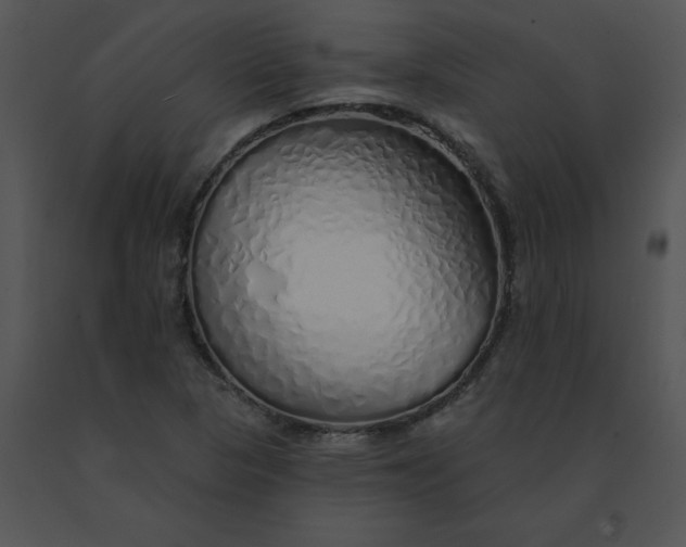 X0000091531313200708311302