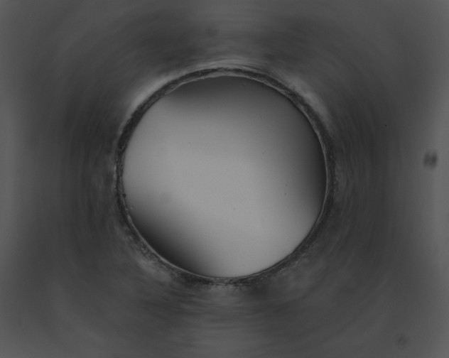 X0000091531316200708311302