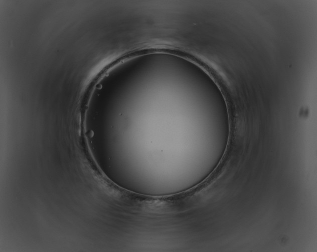 X0000091531317200708311302