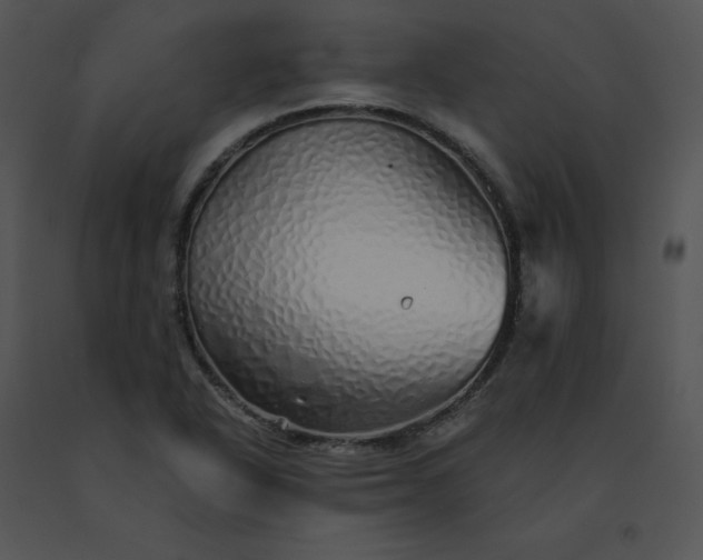 X0000091531318200708311302