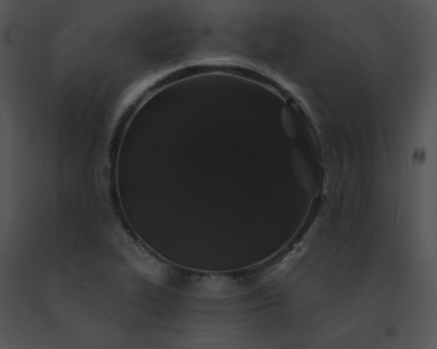 X0000091531319200708311302