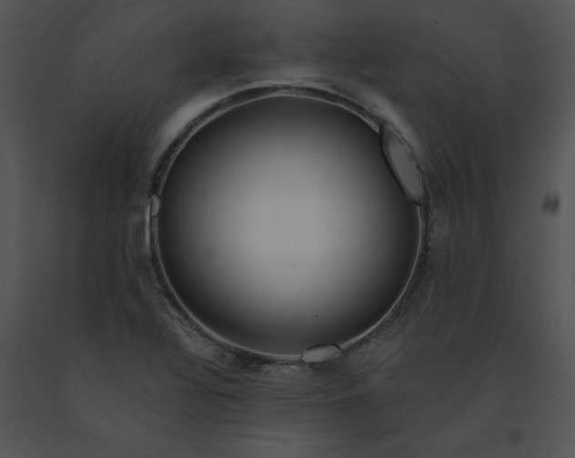 X0000091531320200708311302