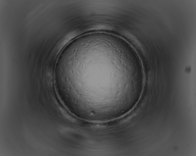 X0000091531321200708311302