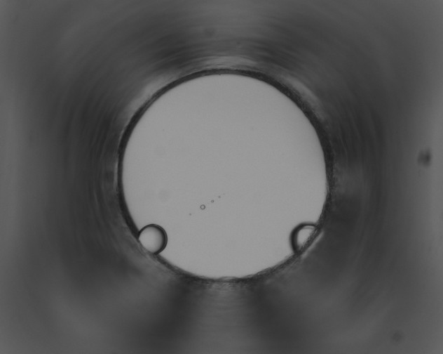 X0000091531322200708311302